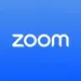 Zoom logo